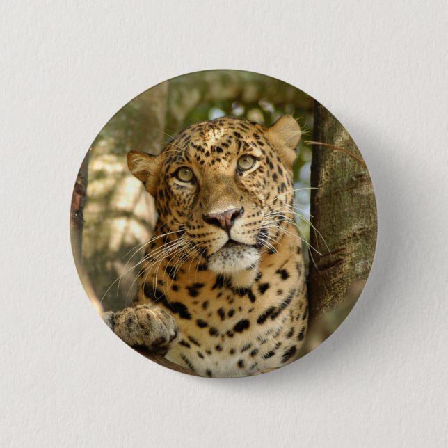 LeopardCheetaro013 6 Cm Round Badge (Front)
