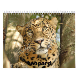 LeopardCheetaro013, Leopard Calendar