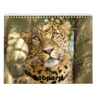 LeopardCheetaro013, Leopard Calendar