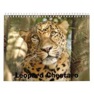 LeopardCheetaro013, Leopard Cheetaro Calendar