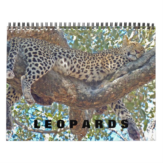 LEOPARDS - ALL LEOPARD CALENDAR (Cover)