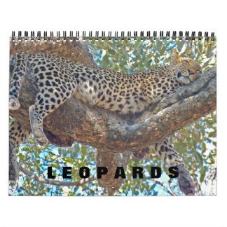 LEOPARDS - ALL LEOPARD CALENDAR