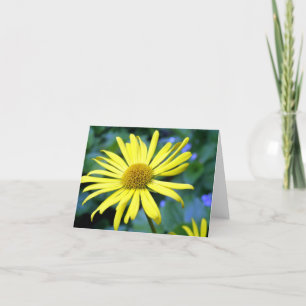 Leopard's Bane Note Card