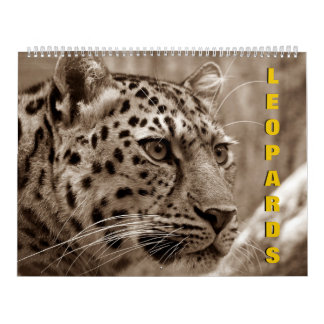 Leopards Calendar