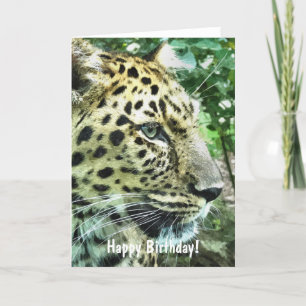 LEOPARDS CARD