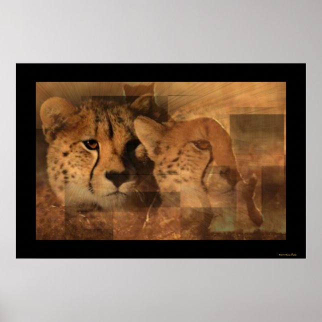 Leopards Print (Front)