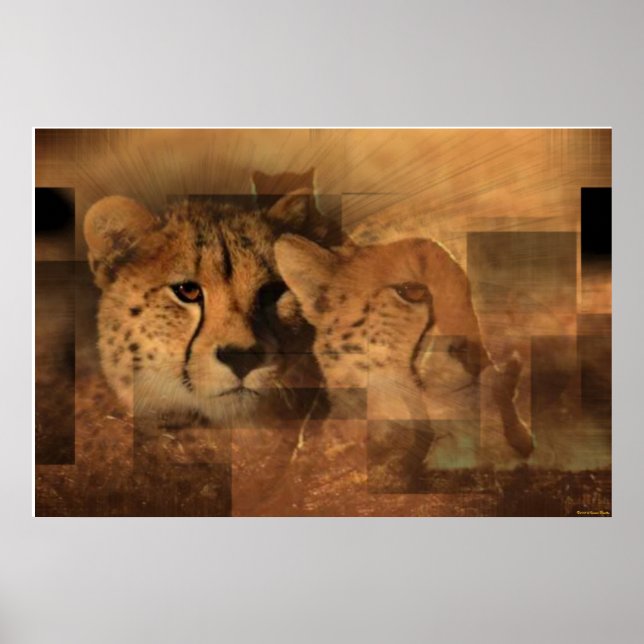 Leopards Print (Front)