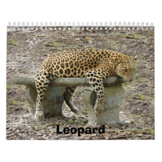 LeopardSundari_010, Leopard Calendar