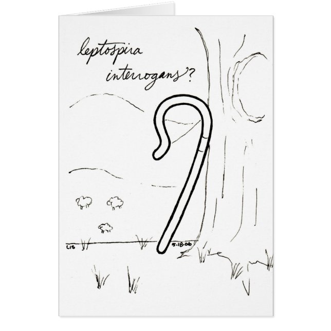 Leptospira Interrogans card (Front)