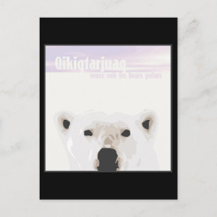 Les Bears Polars Postcard
