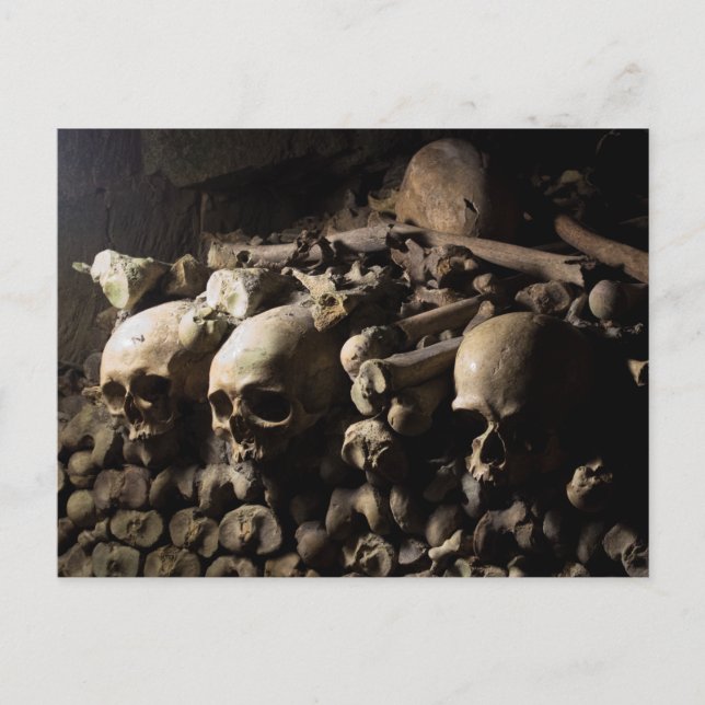 Les Catacombes Postcard (Front)