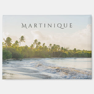 Les Salines beach Martinique Scenic travel Magnet