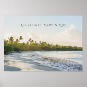 Les Salines beach Martinique Scenic travel Poster