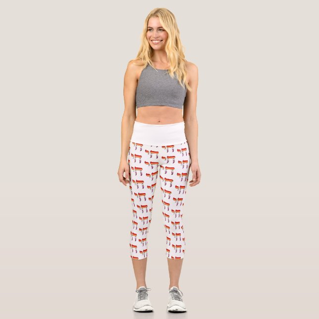Lesbian Pride Flag Chai Capri Leggings (Front)