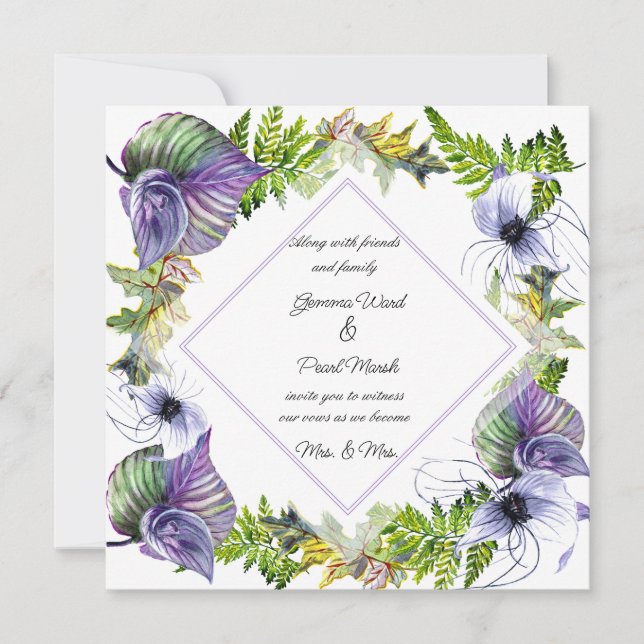 Lesbian Purple Clematis and Leaves  (Front)