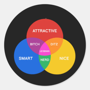 LESBIAN VENN DIAGRAM CLASSIC ROUND STICKER