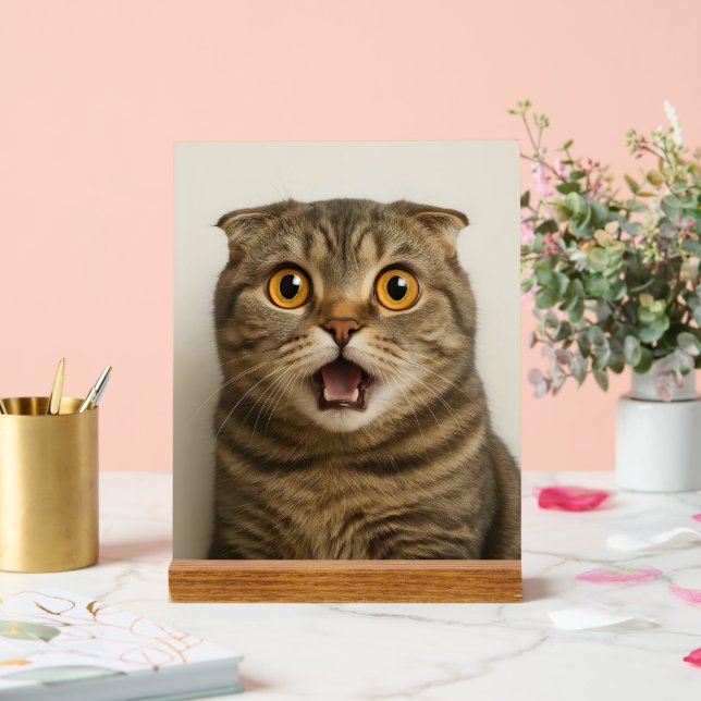 Lesbians Eat What Funny Acrylic Sign (Wedding)