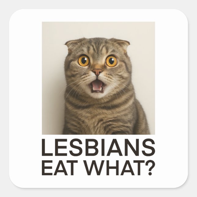Lesbians Eat What Funny Square Sticker (Front)