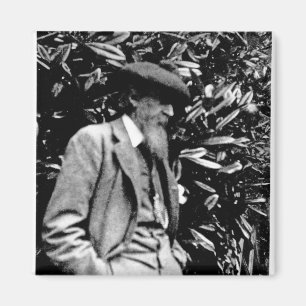 Leslie Stephen, 1900 Magnet