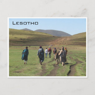 lesotho shepherds postcard