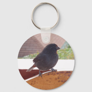 Lesser Antillean Bullfinch Key Ring