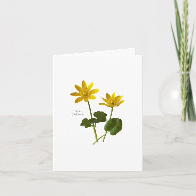 Lesser Celandine Card (Front)