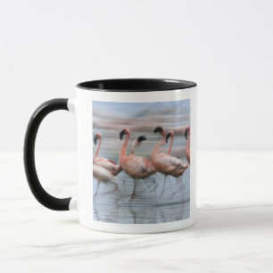 Lesser Flamingos in motion, Phoenicopterus Mug