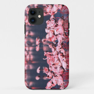 Lesser Flamingos (Phoeniconaias minor), Africa, iPhone 11 Case