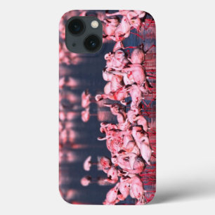Lesser Flamingos (Phoeniconaias minor), Africa, iPhone 13 Case