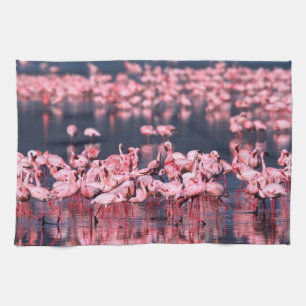 Lesser Flamingos (Phoeniconaias minor), Africa, Tea Towel