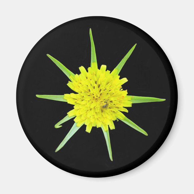 Lesser Goats-beard Wild Flower Magnet (Front)