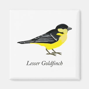 Lesser goldfinch magnet