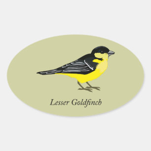 Lesser goldfinch oval sticker