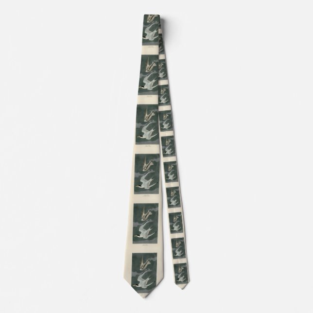 Lesser (Least) Tern - Audubon's Birds of America Tie (Front)