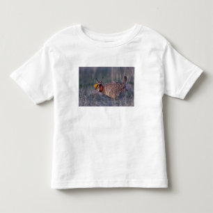Lesser Prairie-Chicken, Tympanuchus Toddler T-Shirt