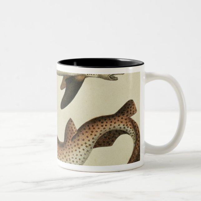 Lesser Spotted Dogfish Two-Tone Coffee Mug (Right)