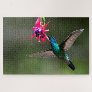 Lesser Violetear Hummingbird in the Cloud Forest Jigsaw Puzzle