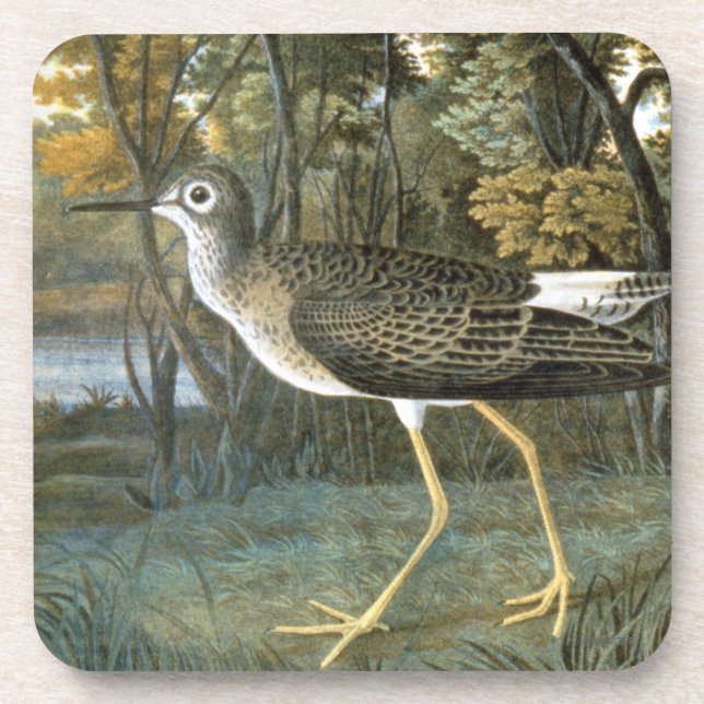 Lesser Yellowlegs Coaster (Front)