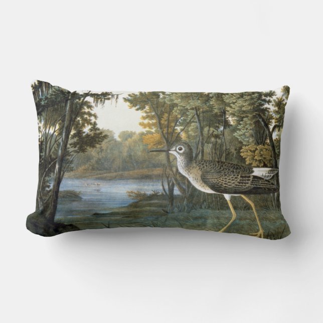 Lesser Yellowlegs Lumbar Cushion (Front)
