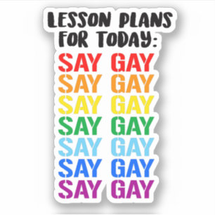 Lesson Plans for Today: SAY GAY