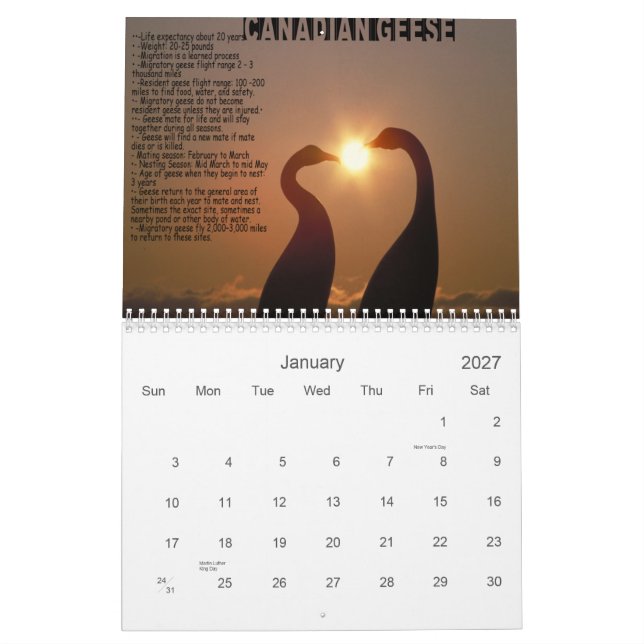 LESSONS FROM GEESE CALENDAR (Jan 2027)