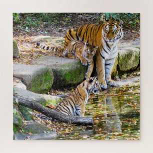 Lessons Of Life Mother Tiger And Cubs Jigsaw Puzzle