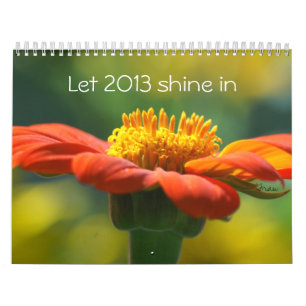 let 2013 shine in calendar