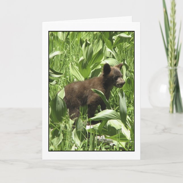 Let Bears Be Bears Card (Front)