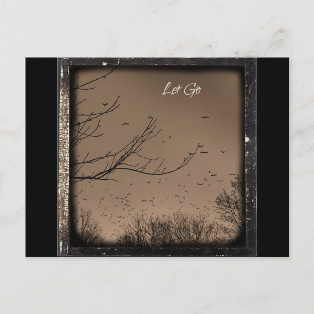 Let Go Postcard (Front)