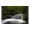 Let it Flow 36 x 24 Poster