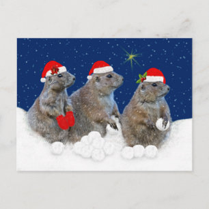Let it Snow Christmas Postcard