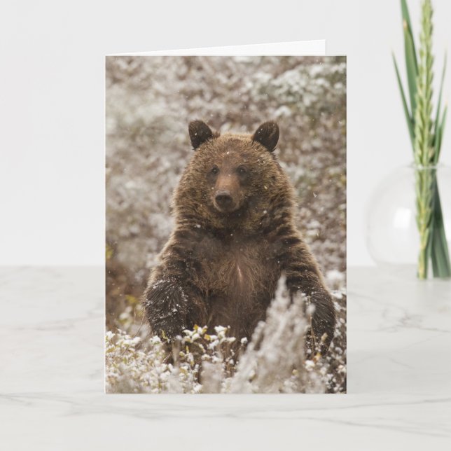 "Let it Snow" Holiday Card (Front)