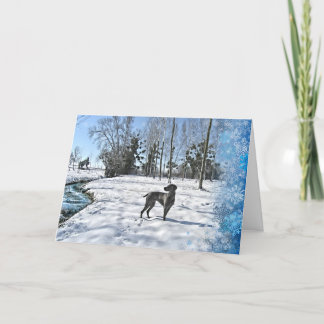 Let it Snow, Let it Snow, Let it Snow Holiday Card