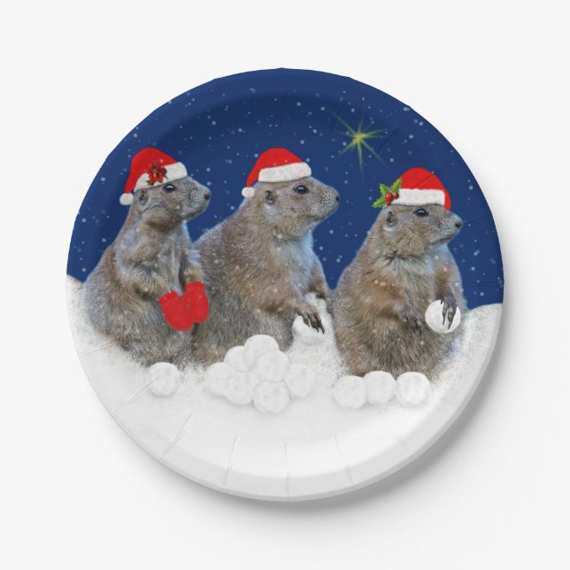 Let it Snow Paper Plate (Front)